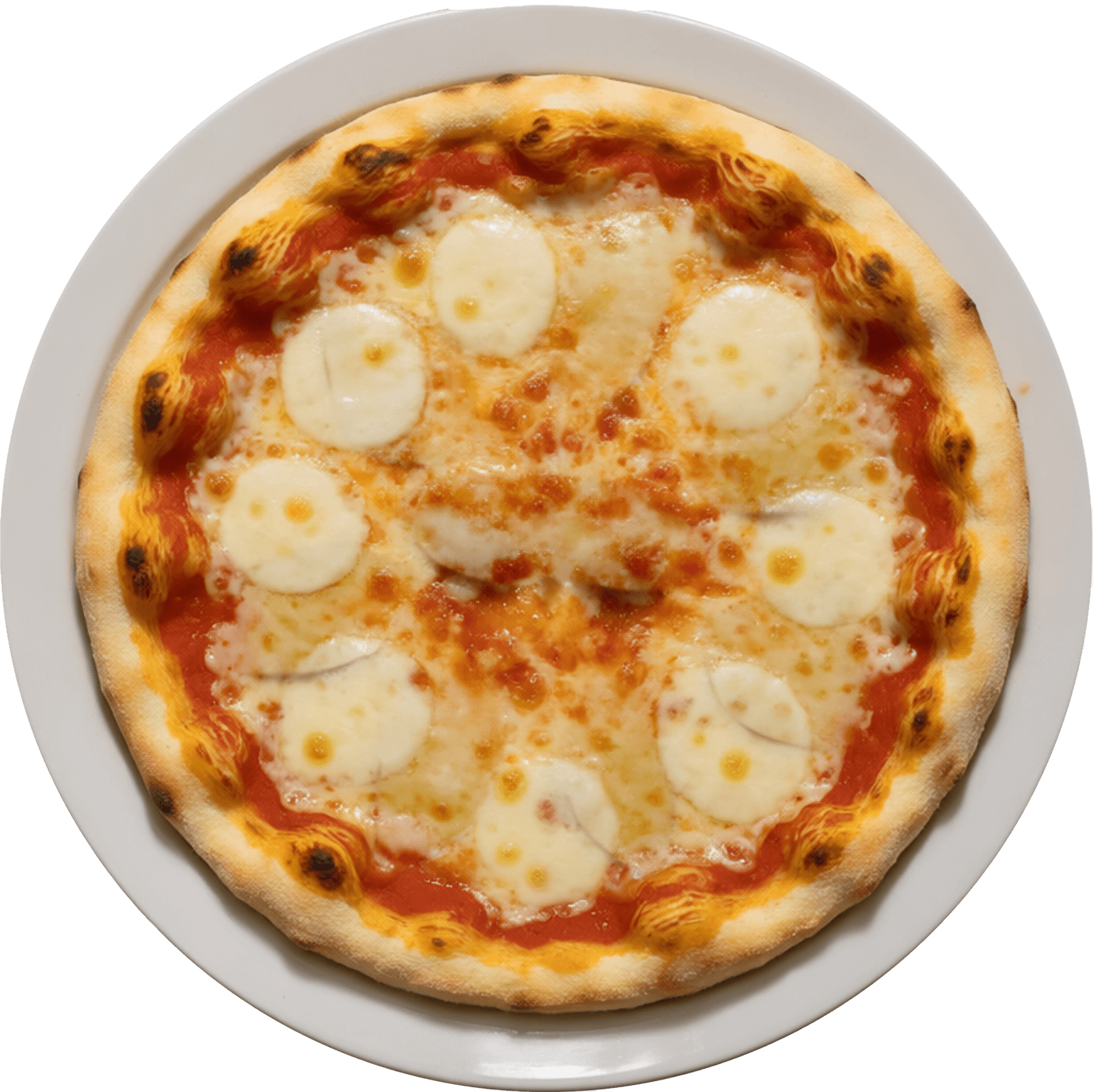 Pizza Margarita